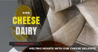 Exploring the Dairy Dilemma: Is Feta Cheese Truly Dairy-Free?