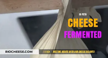 The Fermentation Mystery: Unveiling the Truth About Feta Cheese