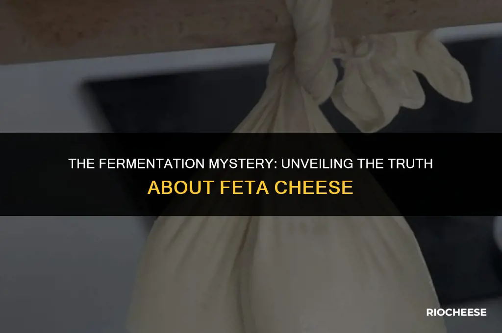 is feta cheese fermented
