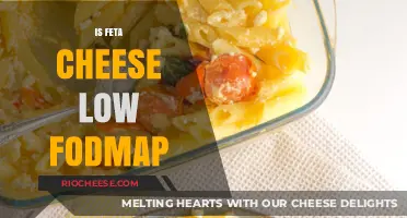 Exploring the Low FODMAP Diet: Is Feta Cheese a Suitable Choice?