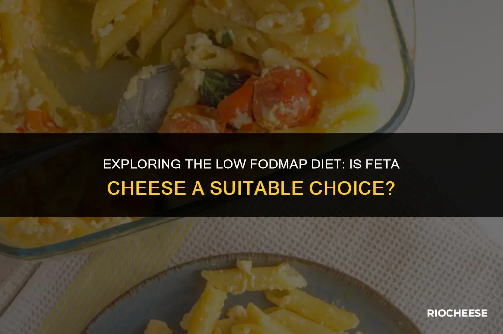 is feta cheese low fodmap