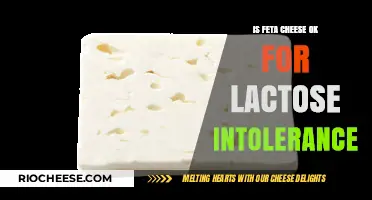 Exploring Dairy Alternatives: Is Feta Cheese Suitable for Lactose Intolerance?