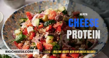 Exploring the Protein Content of Feta Cheese: A Nutritional Insight