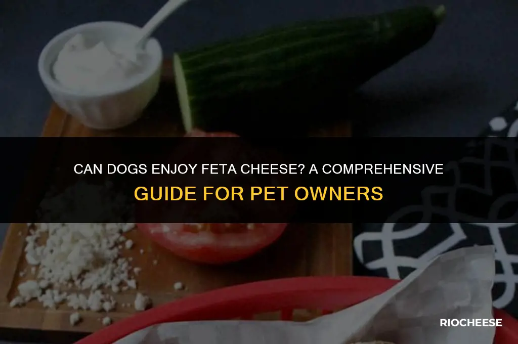 is feta cheese safe for dogs