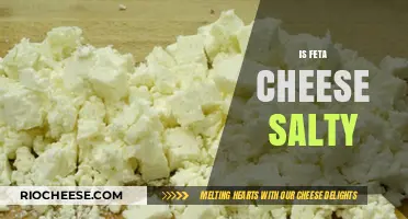 Exploring the Salty Side of Feta Cheese: A Flavorful Journey