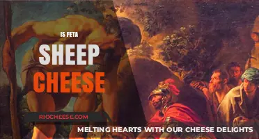 Exploring the Origins: Is Feta Cheese Truly Sheep's Milk?
