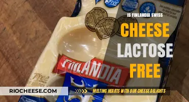 Exploring Finlandia Swiss Cheese: Lactose-Free Delight or Dairy Dilemma?