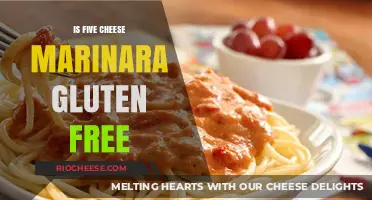Delicious and Safe: Is Five Cheese Marinara Gluten-Free?