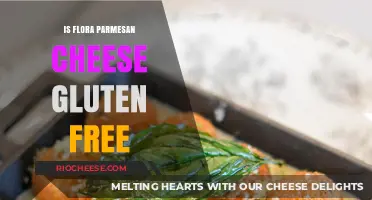 Exploring Gluten-Free Options: Is Flora Parmesan Cheese Safe for Celiacs?