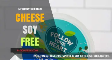 Exploring Dairy-Free Delights: Is Follow Your Heart Cheese Soy-Free?