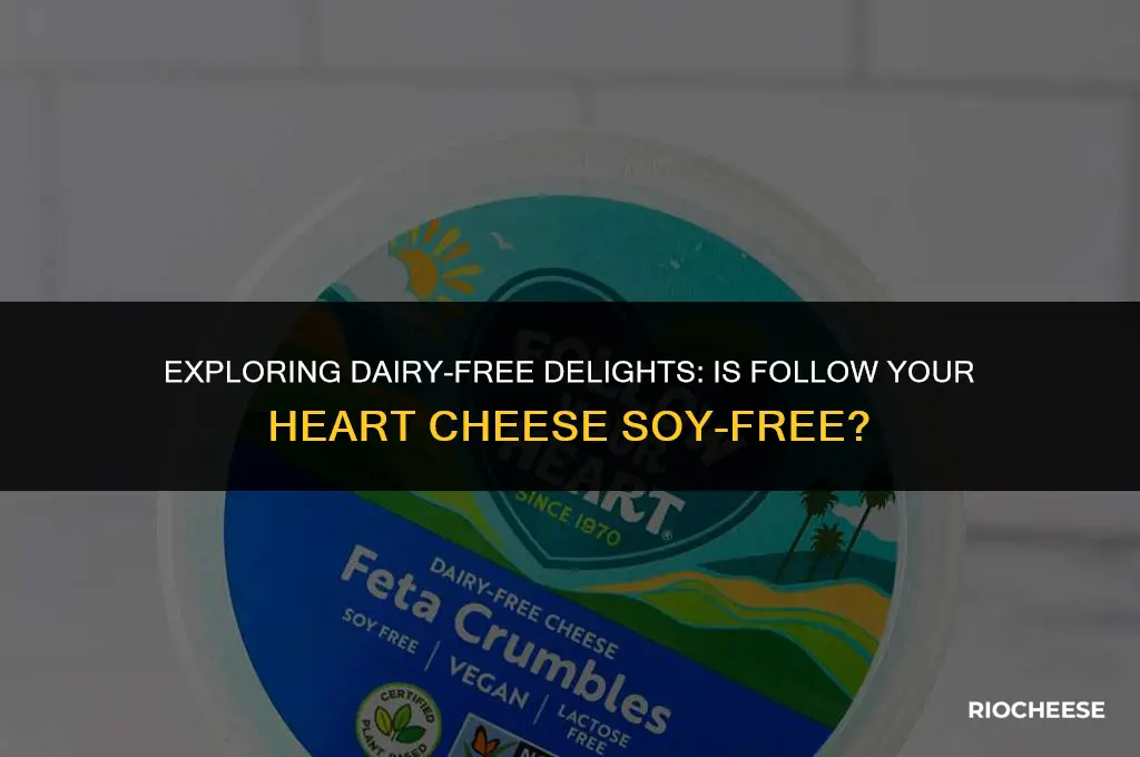 is follow your heart cheese soy free