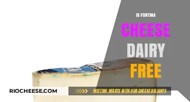 Exploring Fontina Cheese: Dairy-Free or Not?