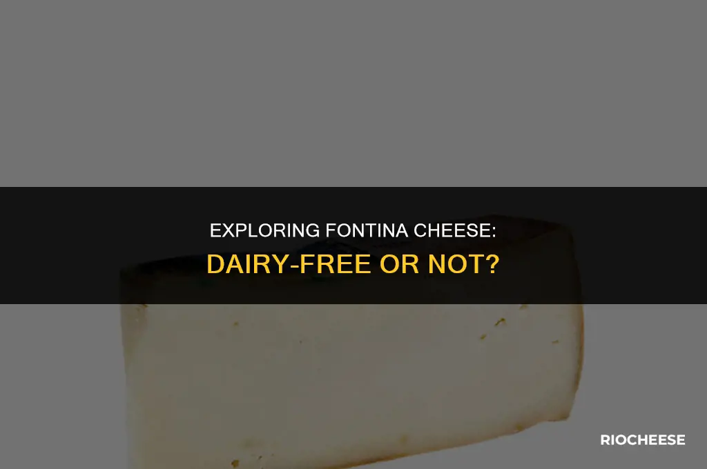 is fontina cheese dairy free