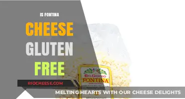 Exploring Fontina Cheese: A Gluten-Free Delight or Not?