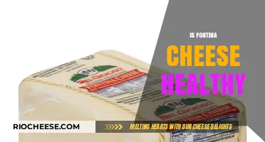 Exploring the Nutritional Benefits of Fontina Cheese