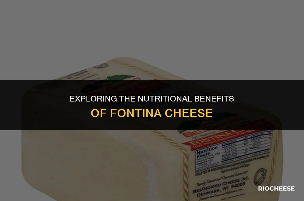 is fontina cheese healthy
