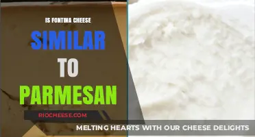 Exploring the Richness: Fontina vs. Parmesan Cheese Comparison