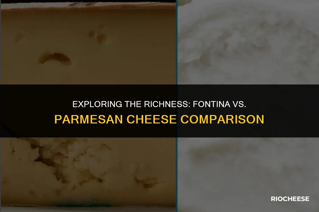 is fontina cheese similar to parmesan