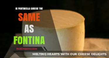Exploring the Delicious World of Fontinella and Fontina Cheeses