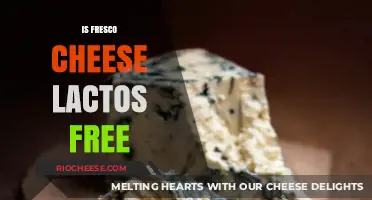 Exploring Fresco Cheese: A Lactose-Free Delight or Dairy Dilemma?