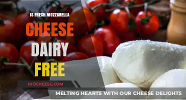 Exploring Fresh Mozzarella: Is It Truly Dairy-Free?