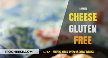 Exploring Gluten-Free Diets: Is Fried Cheese a Safe Choice?