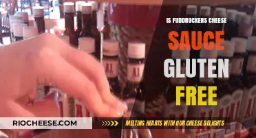 Exploring Fuddruckers Cheese Sauce: A Gluten-Free Delight?