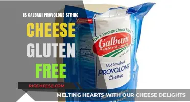 Discovering the Truth: Is Galbani Provolone String Cheese Gluten-Free?