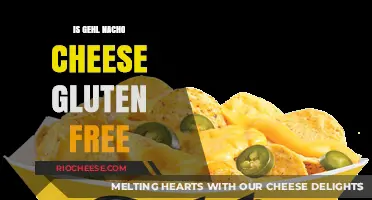 Exploring Gluten-Free Options: Is Gehl Nacho Cheese Safe for Celiacs?