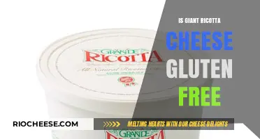 Delving into Dairy: Is Giant Ricotta Cheese Gluten-Free?