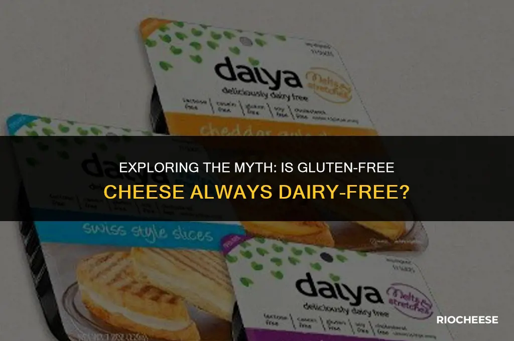 is gluten free cheese dairy free
