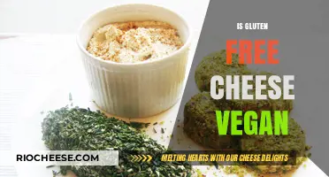 Exploring the Intersection of Gluten-Free and Vegan Cheese Options