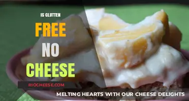 Exploring Gluten-Free, Cheese-Less Delights: A Culinary Journey