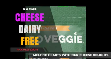 Exploring Dairy-Free Alternatives: Is Go Veggie Cheese the Answer?