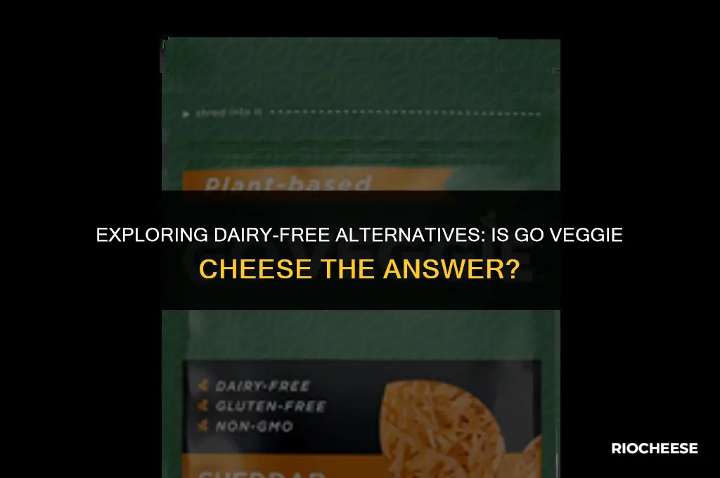 is go veggie cheese dairy free