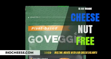 Exploring Nut-Free Options: Is Go Veggie Cheese the Answer?