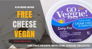 Exploring Dairy Alternatives: Is Go Veggie! Lactose-Free Cheese Vegan?