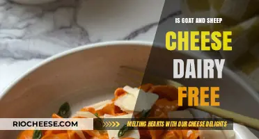 Exploring the Dairy-Free Landscape: Goat and Sheep Cheese Alternatives