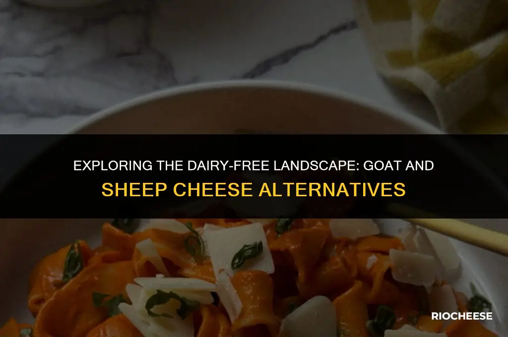 is goat and sheep cheese dairy free