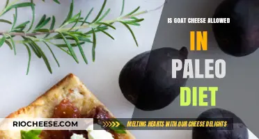 Exploring Dairy Alternatives: Is Goat Cheese Paleo-Friendly?