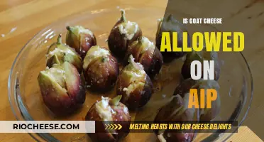 Exploring Dairy Alternatives: Is Goat Cheese AIP-Friendly?