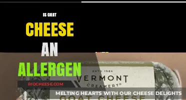 Unveiling the Truth: Is Goat Cheese an Allergen?