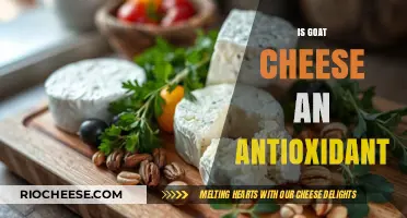 Unveiling the Health Benefits: Goat Cheese as an Antioxidant Powerhouse