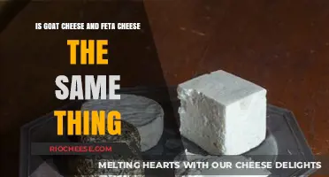 Unraveling the Mystery: Goat Cheese vs. Feta Cheese Explained
