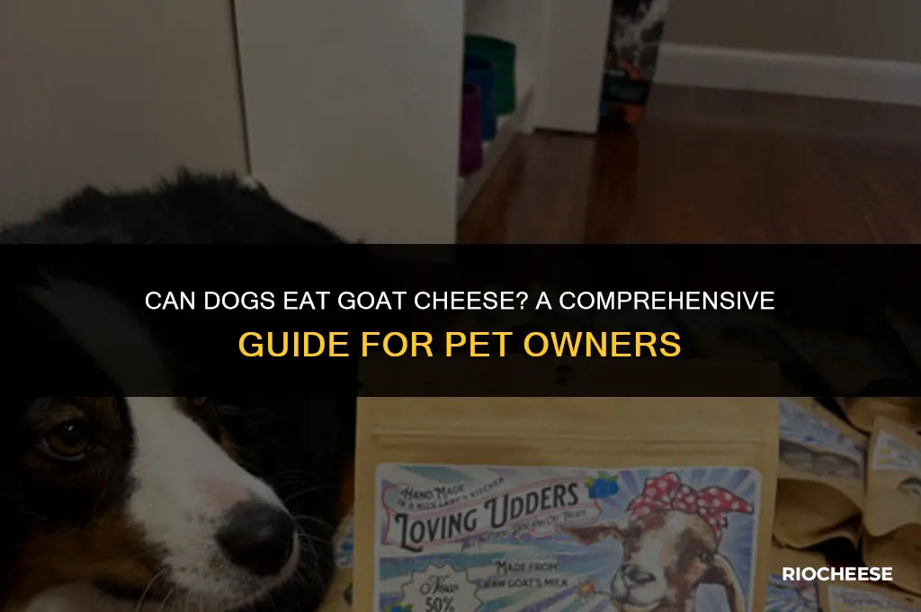is goat cheese bad for dogs