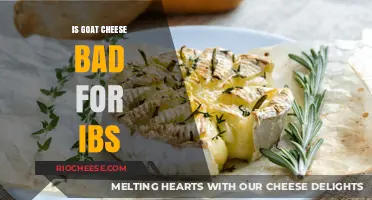 Navigating IBS: The Surprising Truth About Goat Cheese