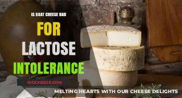 Navigating Lactose Intolerance: The Truth About Goat Cheese