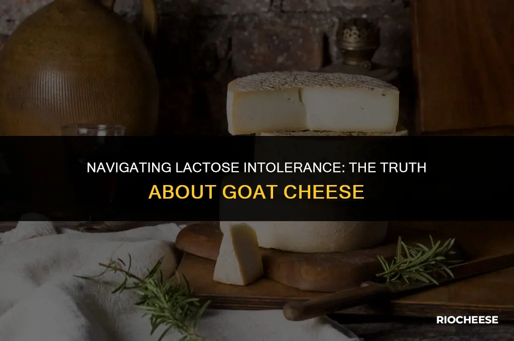 is goat cheese bad for lactose intolerance