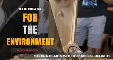 The Environmental Impact of Goat Cheese: A Sustainable Dairy Choice?