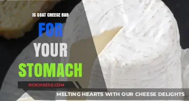 Digestive Dilemmas: The Truth About Goat Cheese and Your Stomach